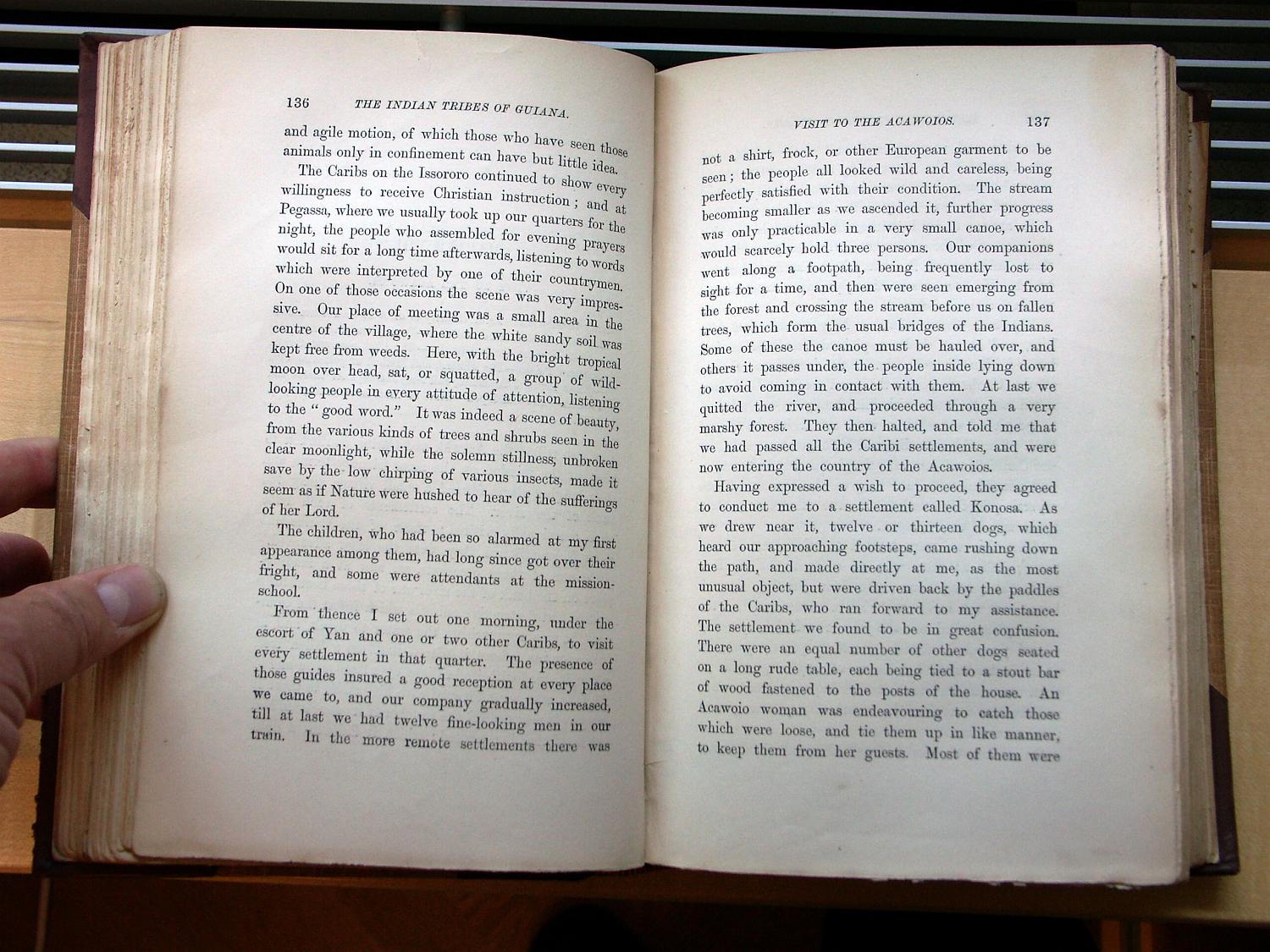 zz-bret68,s.136 acawaio oder kapohn